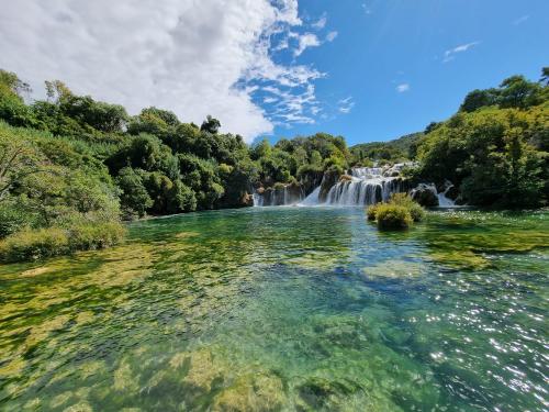 campery asone - WhatsApp Image 2021-11-04 at 13.11.29 (3)